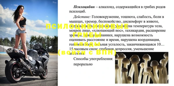 спиды Майский