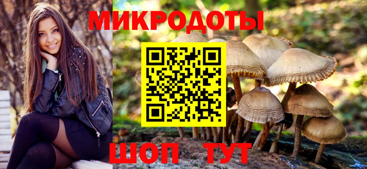 Тихвин  Псилоцибиновые грибы MAGIC MUSHROOMS  Вход с VPN 